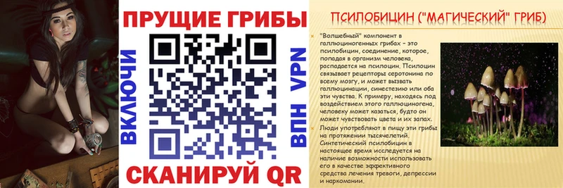кракен вход  Екатеринбург  Псилоцибиновые грибы прущие грибы 