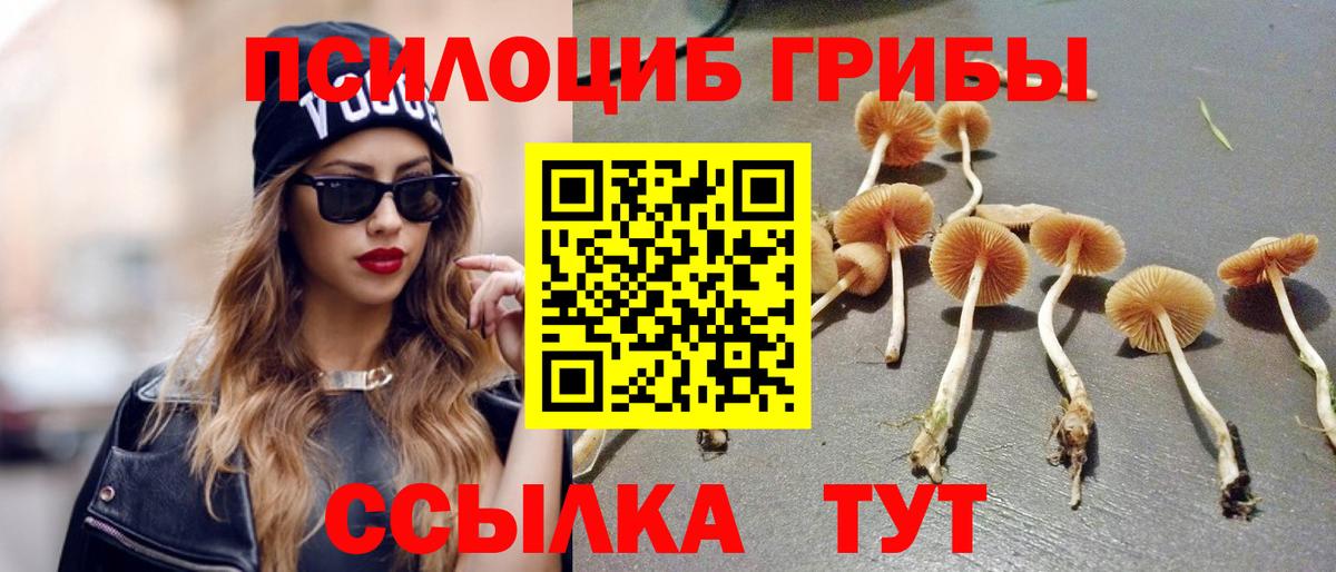 Галлюциногенные грибы MAGIC MUSHROOMS Екатеринбург
