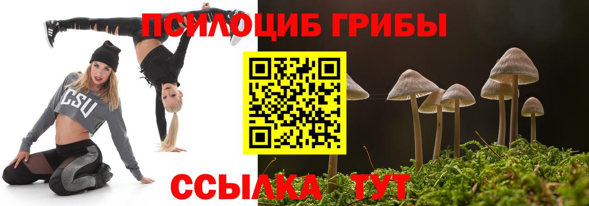 Псилоцибиновые грибы Psilocybine cubensis  Екатеринбург 